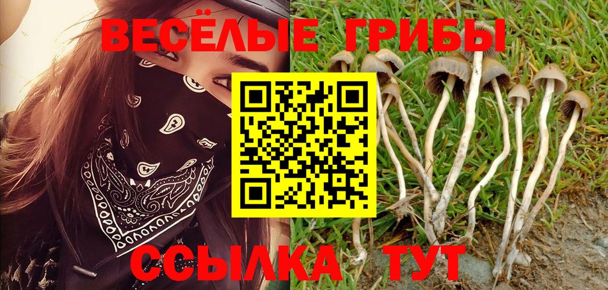 Псилоцибиновые грибы мухоморы  Вход с VPN  Ипатово  сколько стоит  Псилоцибиновые грибы Psilocybe 